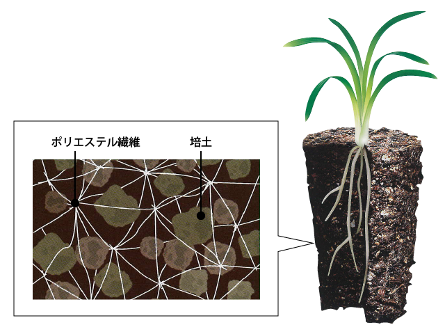エクセルソイルの固化メカニズム